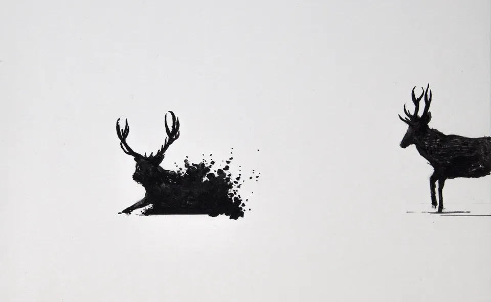 splash