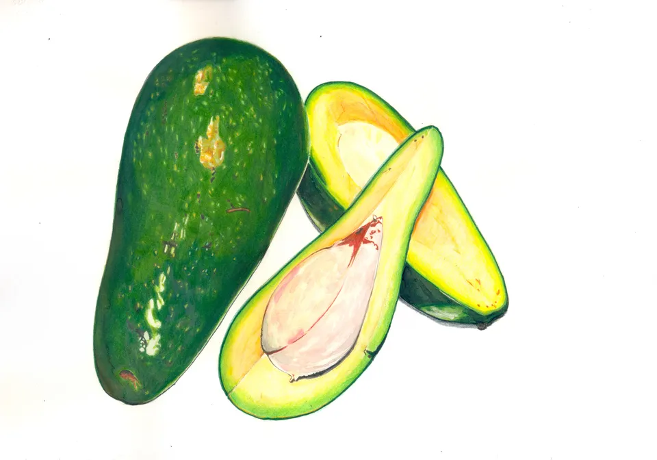 Avocado