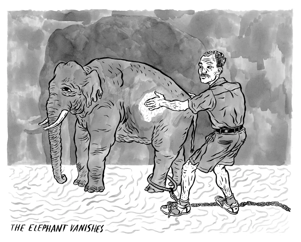 THE ELEPHANT VANISHES