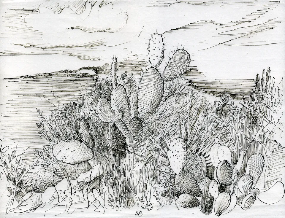 Olivenhain/Meer - Kroatien