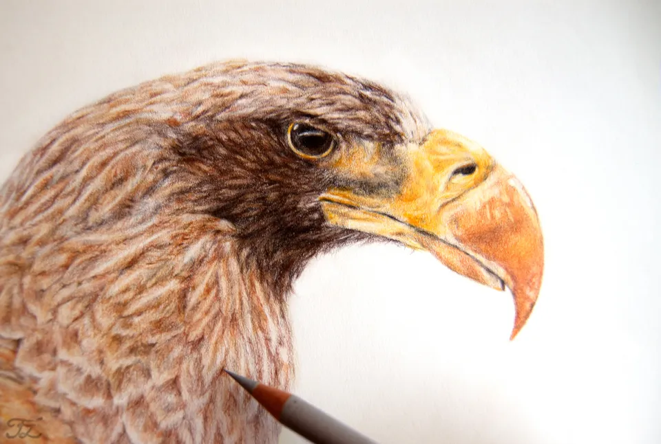 Adler