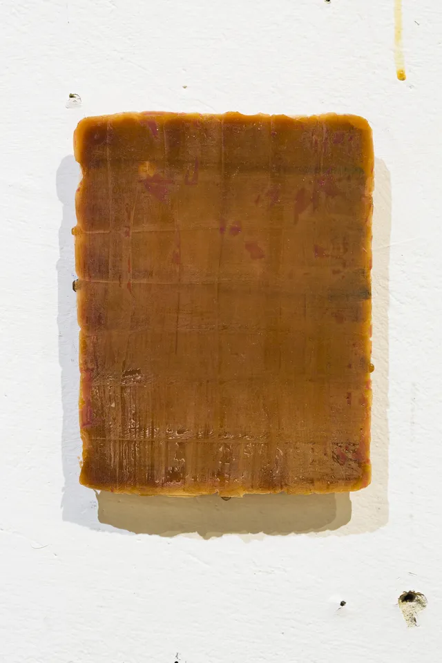 Susanne Richter