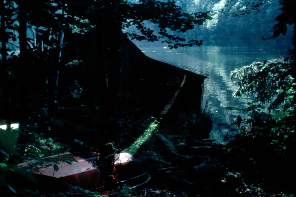 Hans Fricke und der Wurm