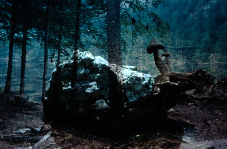 Hans Fricke und der Wurm