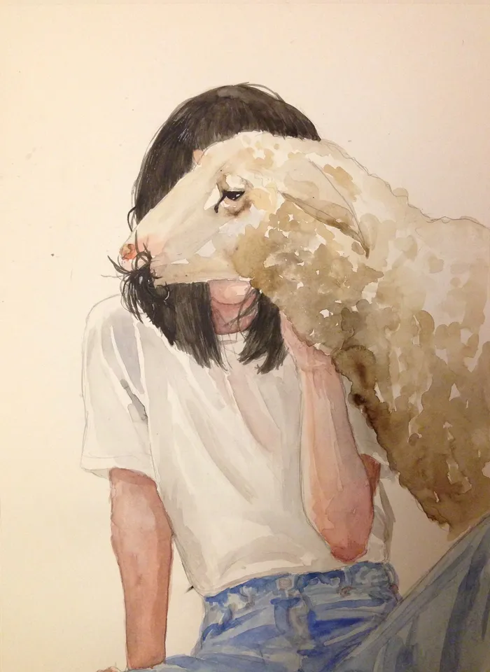 Sheep