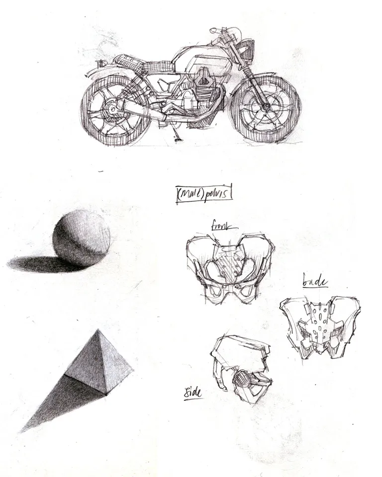Studies