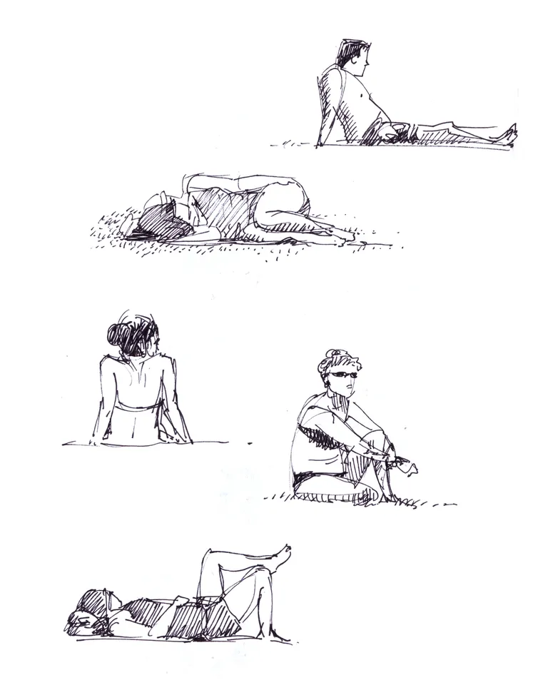 Studies 2