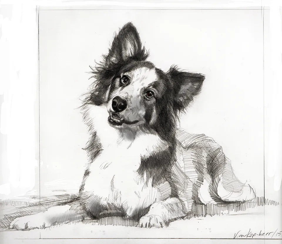 Jennie`s Collie