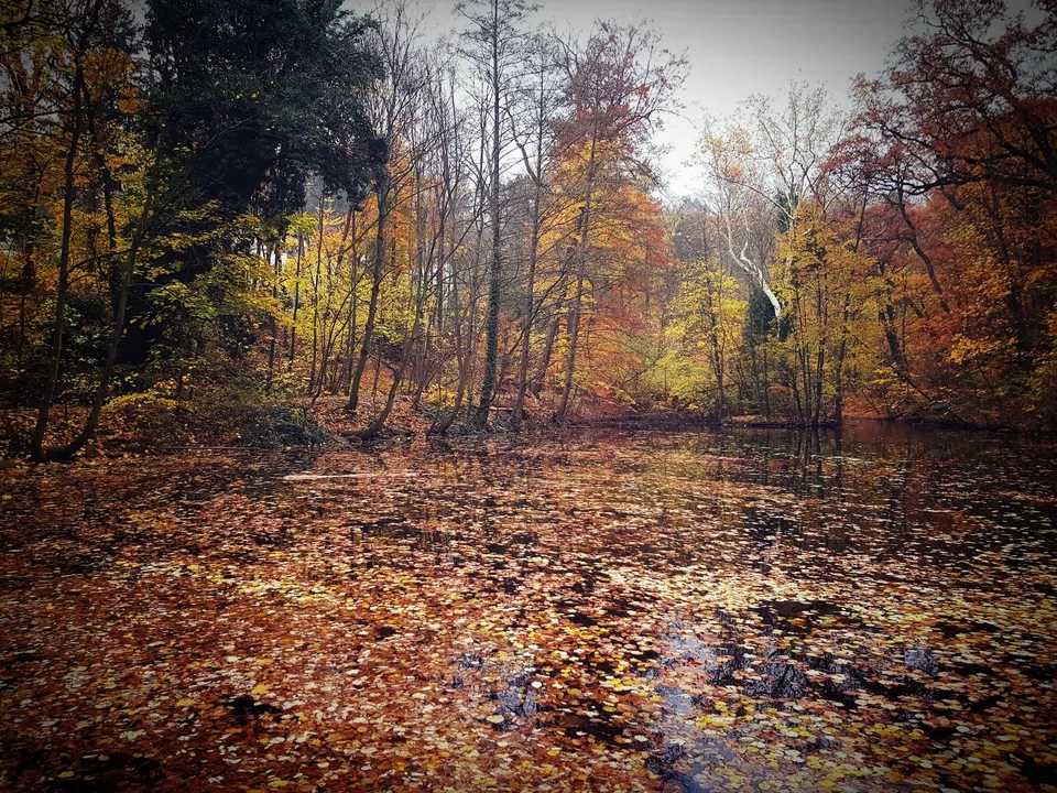 Herbst