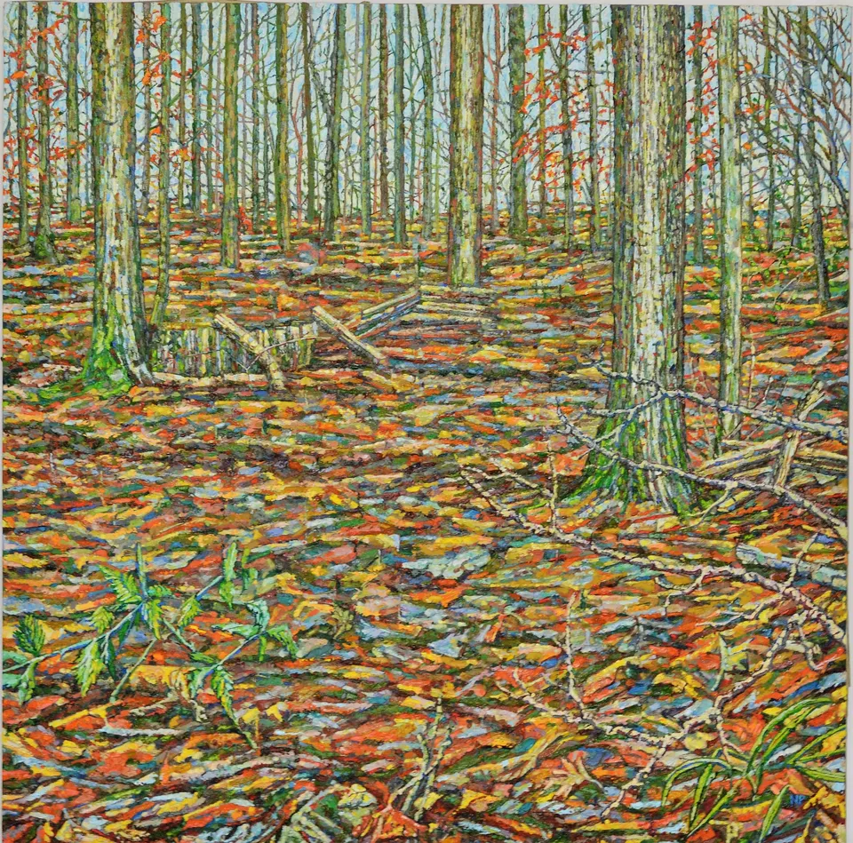 Ochre`s Groundscape