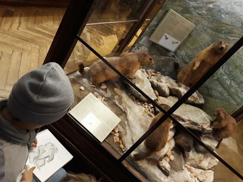 Besuch im Naturhistorischen Museum