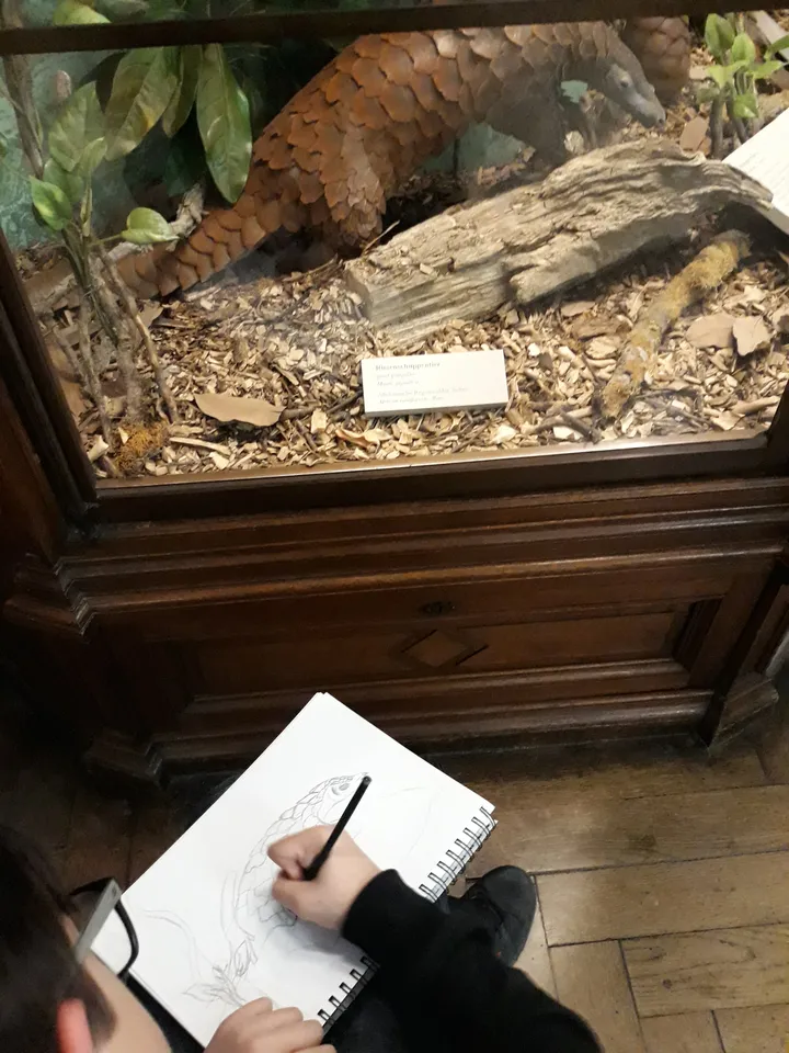 Besuch im Naturhistorischen Museum