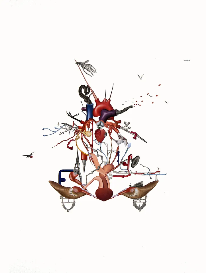 Habitat (After Bosch)