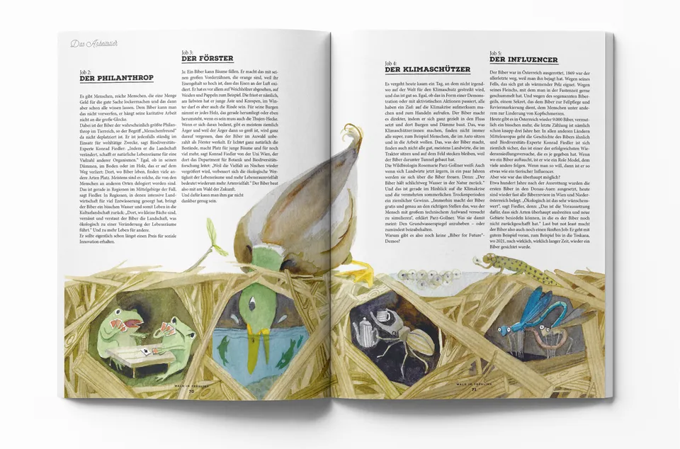 Waldmagazin / Biber