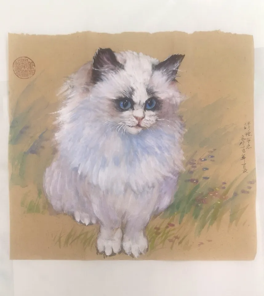 Weiße Katze