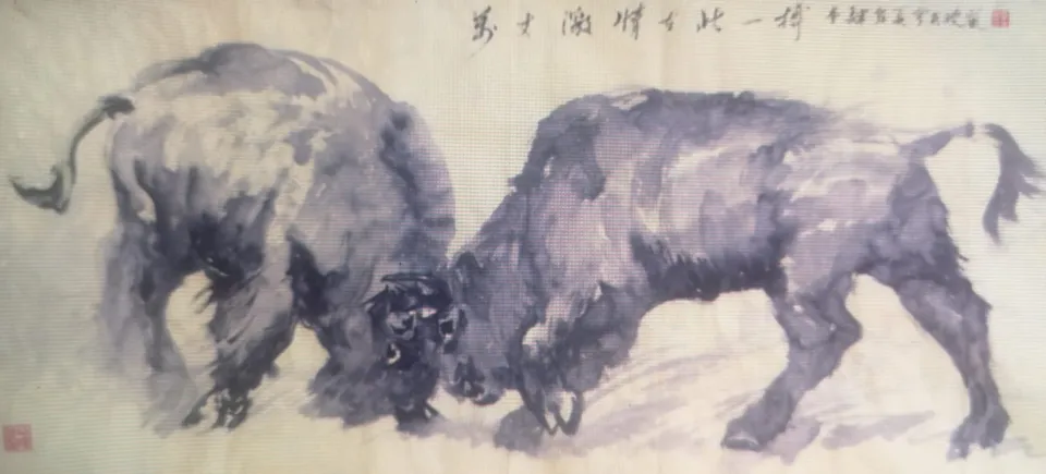 Zweikampf der Bison