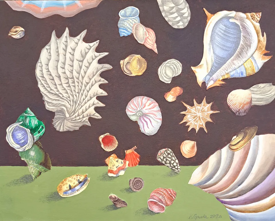 Stillleben mit Muscheln