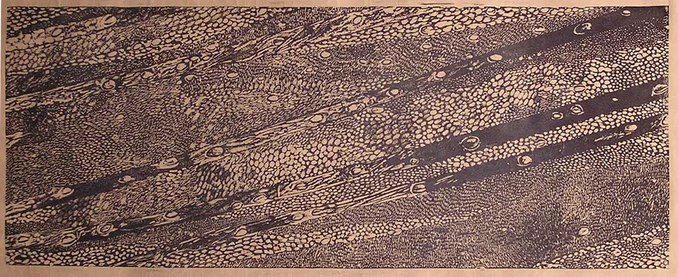 Wassertropfen