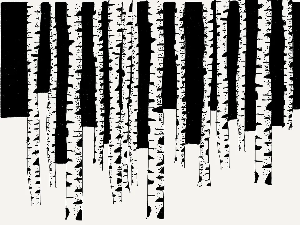 Piano Woods