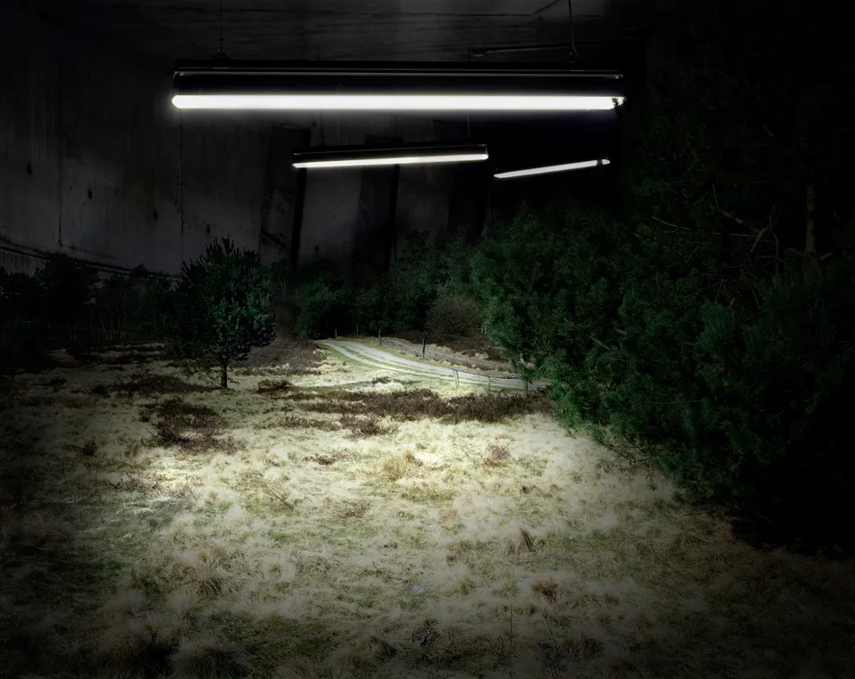 Neonlandschaft