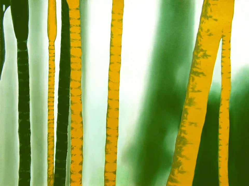 Palmenjungle